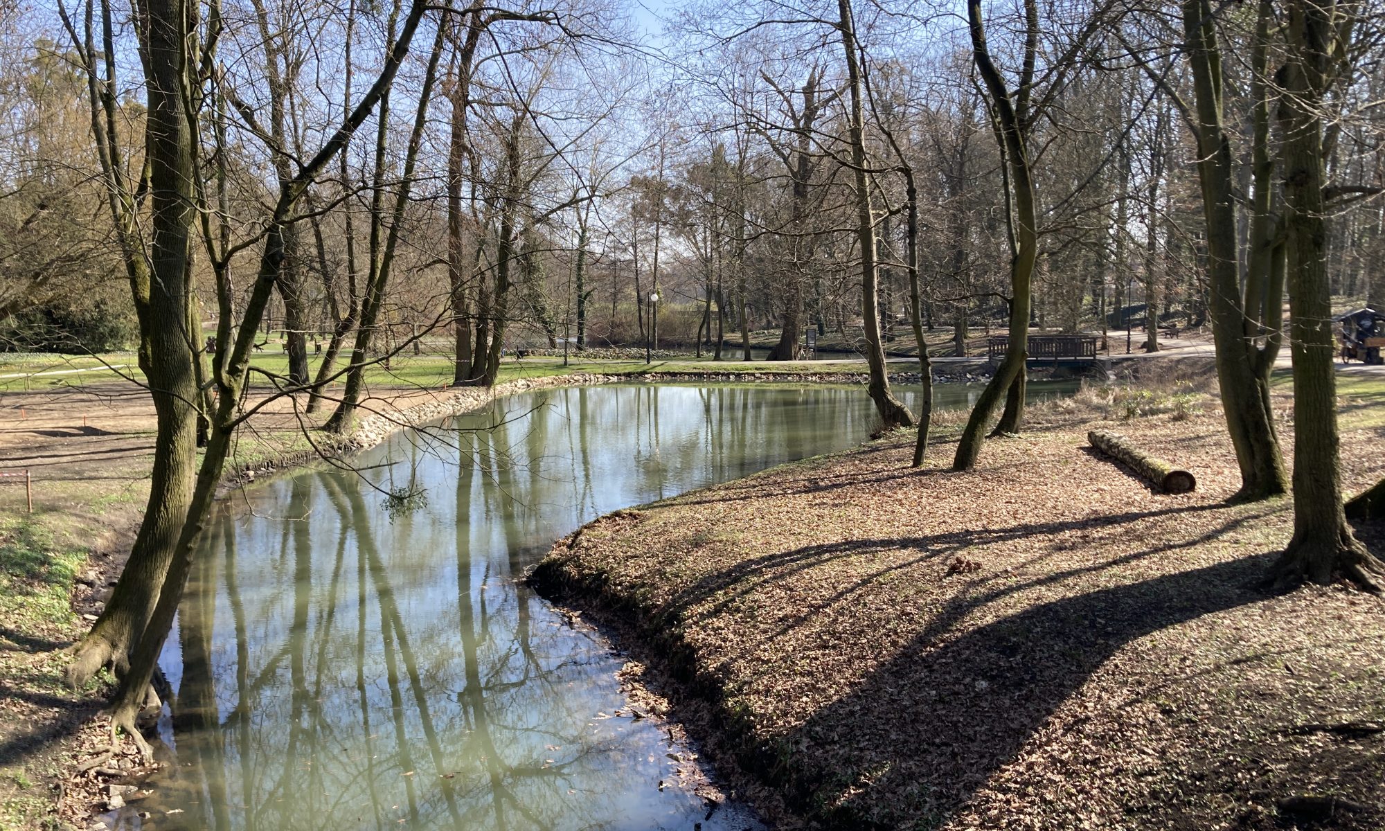 Widok na staw w Parku Sołackim po ukończeniu remontu.